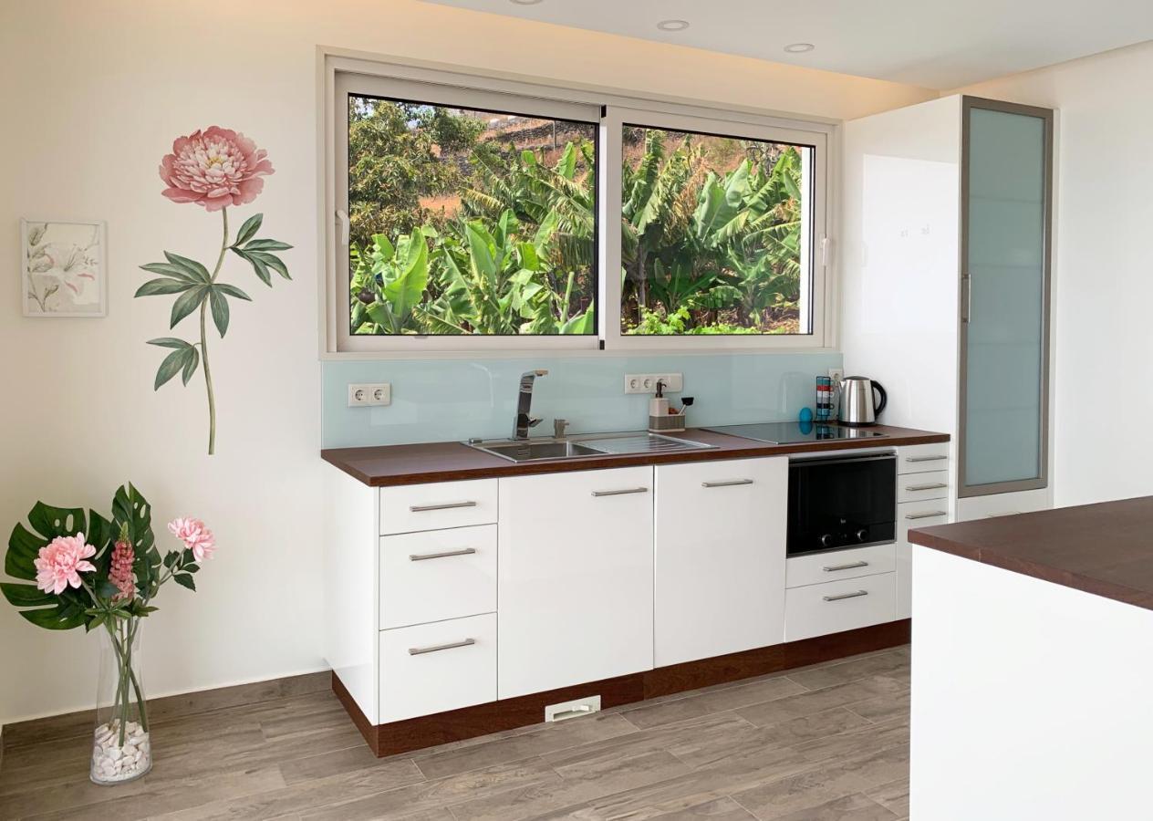 Holiday Apartment Ocean View 리베이라브라바 외부 사진